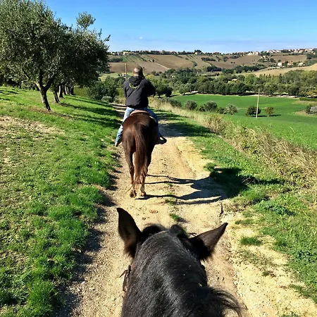 Alojamento de Turismo Rural Le Capannacce Urbania