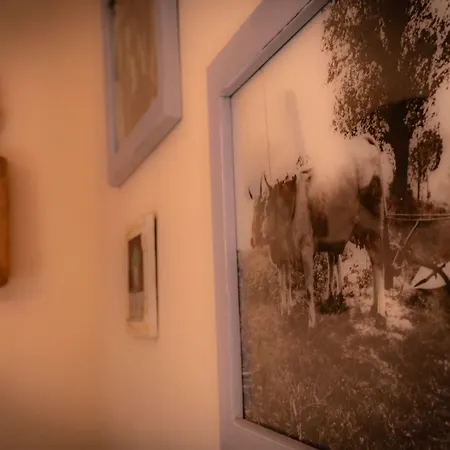 Farm stay Le Capannacce Urbania