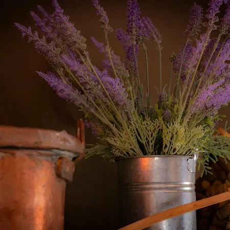 Le Capannacce Urbania