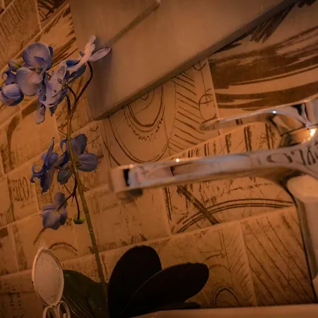 Alojamento de Turismo Rural Le Capannacce Urbania